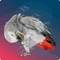 accesibilidad miniatura