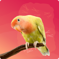 decoración miniatura